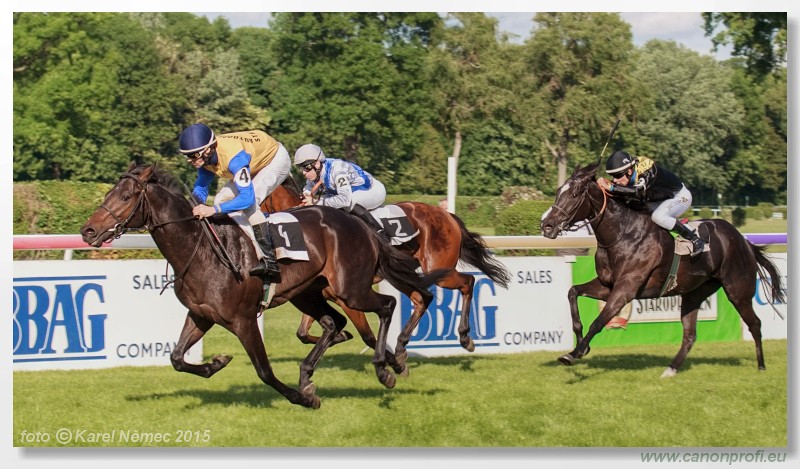 Bratislava - 17. mja 2015 