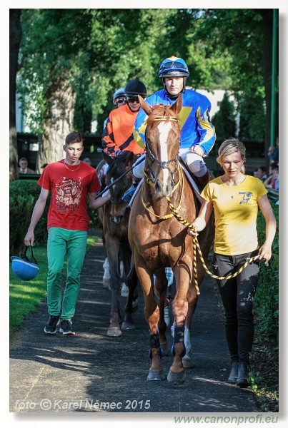 Bratislava - 17. mja 2015 