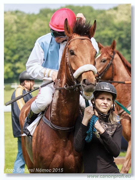 Bratislava - 24. mja 2015 
