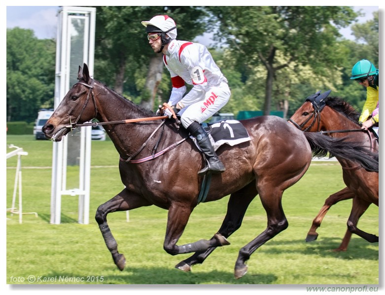 Bratislava - 24. mja 2015 