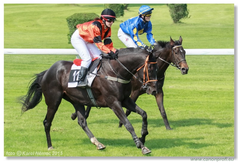 Bratislava - 24. mja 2015 