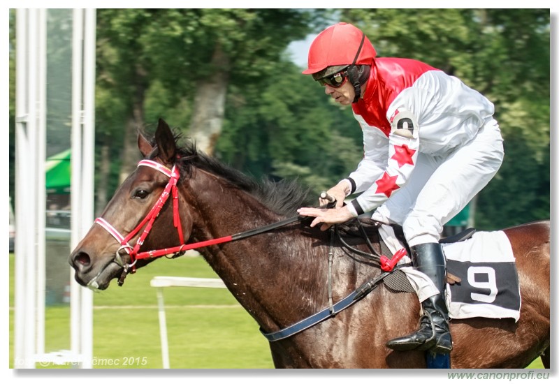 Bratislava - 24. mja 2015 