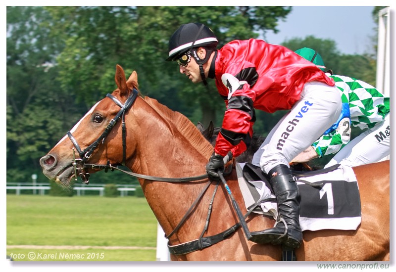 Bratislava - 24. mja 2015 