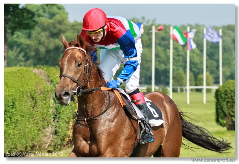 Bratislava - 24. mja 2015 