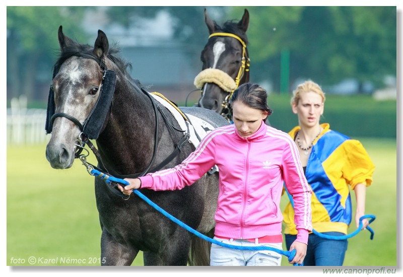 Bratislava - 24. mja 2015 
