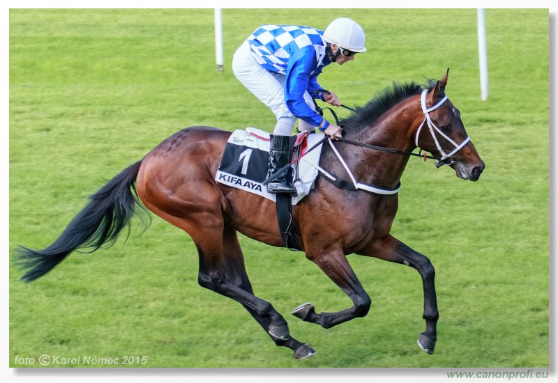 Bratislava - 24. mja 2015 