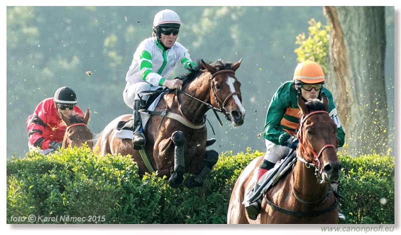 Bratislava - 24. mja 2015 