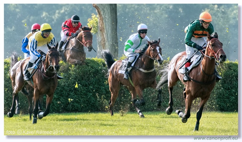 Bratislava - 24. mja 2015 