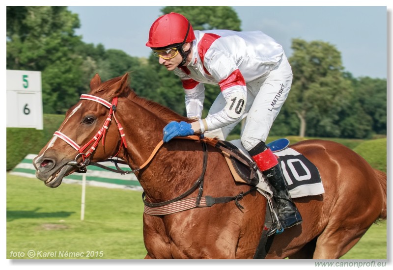 Bratislava - 24. mja 2015 