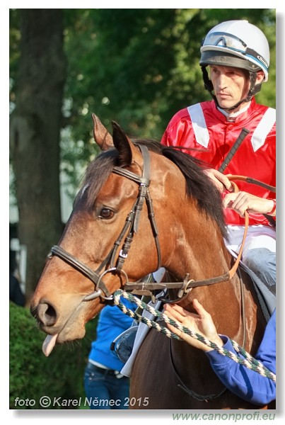 Bratislava - 24. mja 2015 