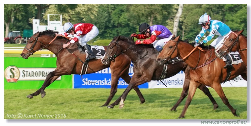 Bratislava - 24. mja 2015 
