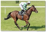 Jarn ma Nutri Horse 