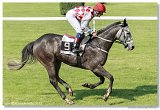 Jarn ma Nutri Horse 