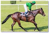 Jarn ma Nutri Horse 