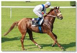 Jarn ma Nutri Horse 