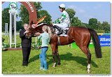 Jarn ma Nutri Horse 