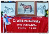 Vek cena Slovenska 