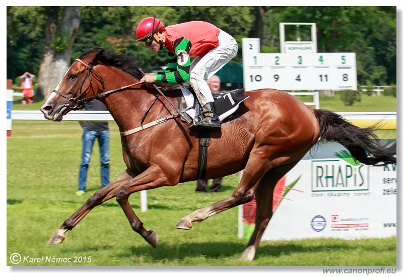 Bratislava - 28. jna 2015 