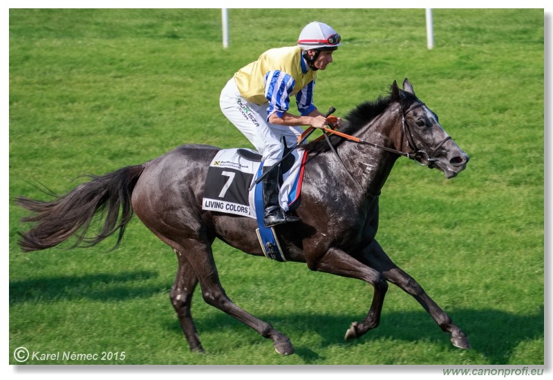 Bratislava - 19. jla 2015 
