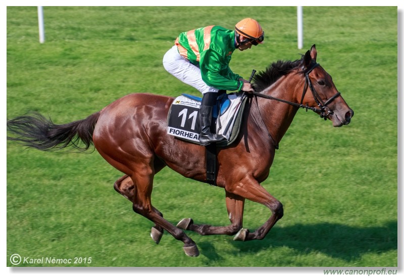 Bratislava - 19. jla 2015 