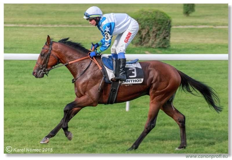 Bratislava - 19. jla 2015 