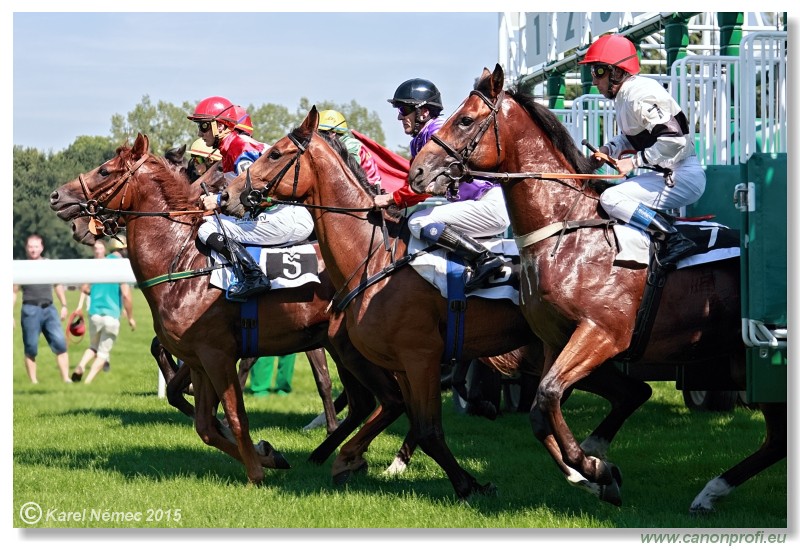 Bratislava - 30. augusta 2015 