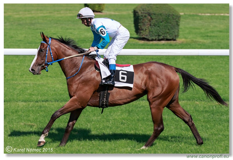 Bratislava - 30. augusta 2015 