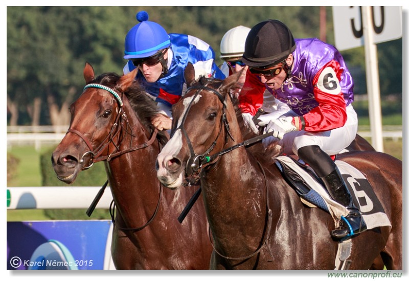 Bratislava - 30. augusta 2015 