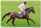 Slovensk Oaks 