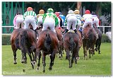 Slovensk Oaks 