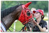 Slovensk Oaks 