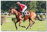 Vek starohjska steeplechase HAM 