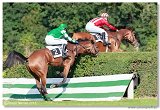 Vek starohjska steeplechase HAM 