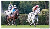 Vek starohjska steeplechase HAM 