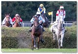 Vek starohjska steeplechase HAM 