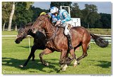 Vek starohjska steeplechase HAM 