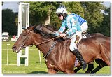 Vek starohjska steeplechase HAM 