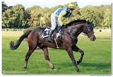Vek starohjska steeplechase HAM 