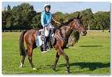 Vek starohjska steeplechase HAM 
