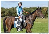 Vek starohjska steeplechase HAM 