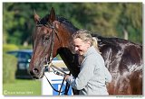 Vek starohjska steeplechase HAM 