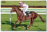 23. Slovensk St. Leger CHARVT 