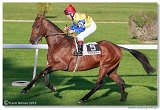 23. Slovensk St. Leger CHARVT 