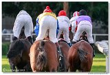 23. Slovensk St. Leger CHARVT 