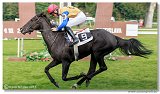 Hendikep Petit Arc En Ciela 