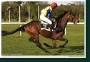 ALITAGO DIRECTA - Weinbachová Veronika