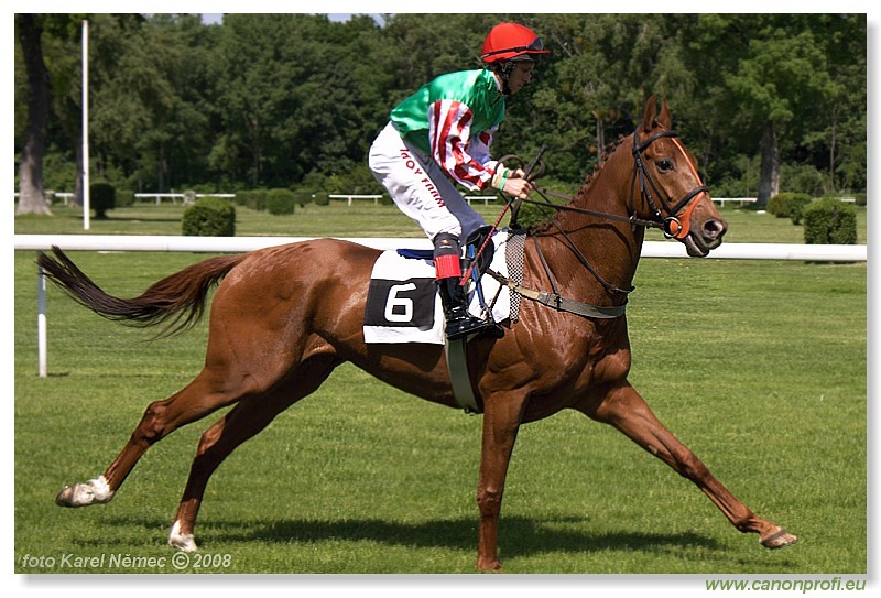 Bratislava - 11. máj 2008 