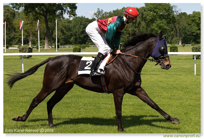 Bratislava - 11. máj 2008 