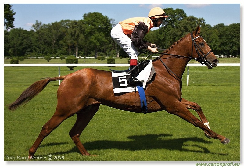 Bratislava - 11. máj 2008 