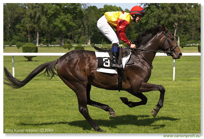 Bratislava - 11. máj 2008 
